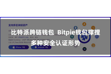 比特派跨链钱包  Bitpie钱包撑捏多种安全认证形势