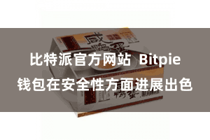 比特派官方网站  Bitpie钱包在安全性方面进展出色