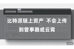 比特派链上资产  不会上传到管事器或云霄