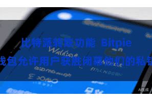 比特派转账功能  Bitpie钱包允许用户获胜闭幕他们的私钥