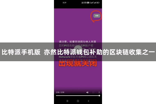 比特派手机版  亦然比特派钱包补助的区块链收集之一