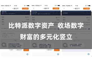 比特派数字资产  收场数字财富的多元化竖立
