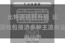 比特派钱包升级  比特派钱包接济多种主流褂讪币