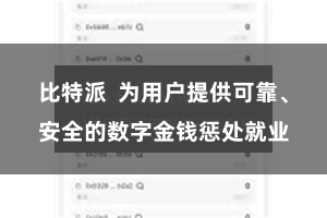 比特派 为用户提供可靠、安全的数字金钱惩处就业