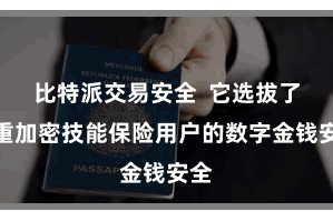 比特派交易安全  它选拔了多重加密技能保险用户的数字金钱安全