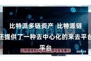 比特派多链资产  比特派链还提供了一种去中心化的来去平台